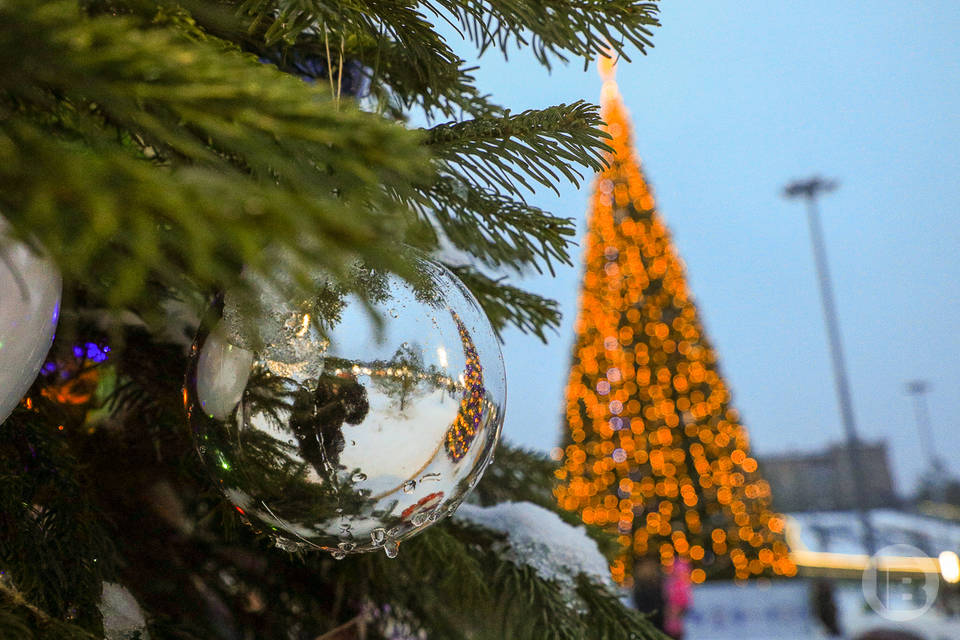 Пушистые ели и поздравительные открытки: как встречали Рождество в Царицыне