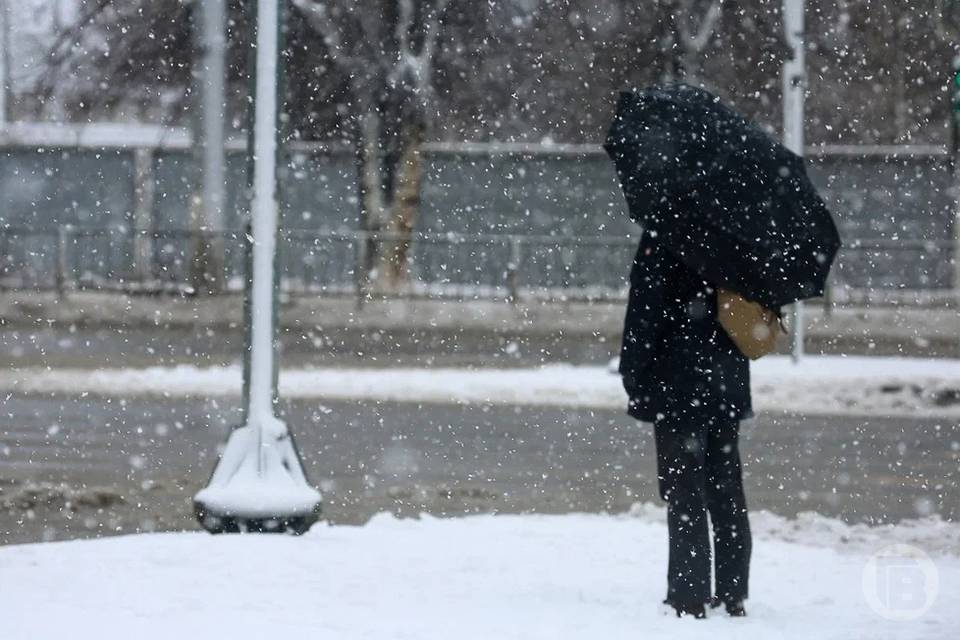 Гололед и снег ожидаются в Волгоградской области 21 декабря