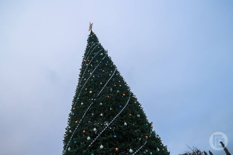 В Центральном парке Волгограда сегодня, 24 декабря, откроют главную новогоднюю елку