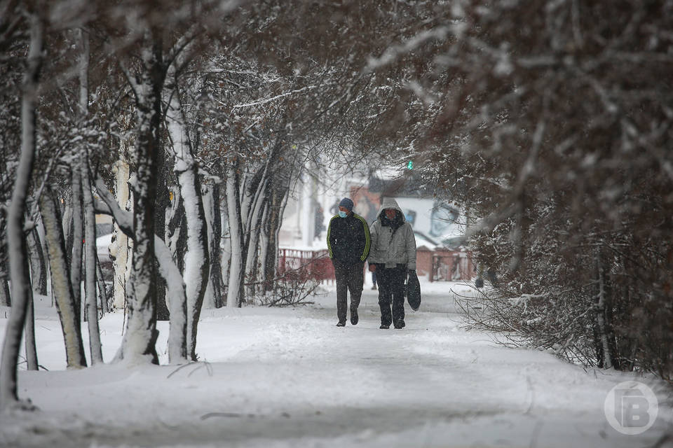 В Волгоградской области 26 декабря ожидаются мокрый снег и гололедица