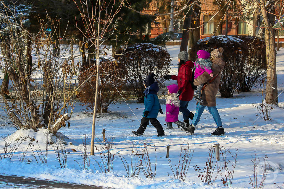 Юных волгоградцев в главном парке города ждут для участия в новогодней шоу-программе