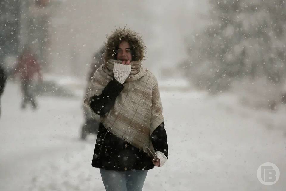 МЧС предупредило об аномальных заморозках до -27 градусов в Волгоградской области
