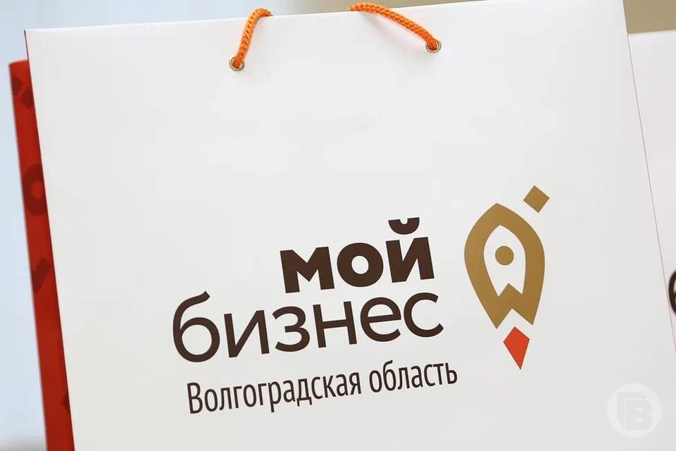 В Волгоградской области зарегистрировали более 300 новых предприятий и помогли 10 тысячам бизнесменам