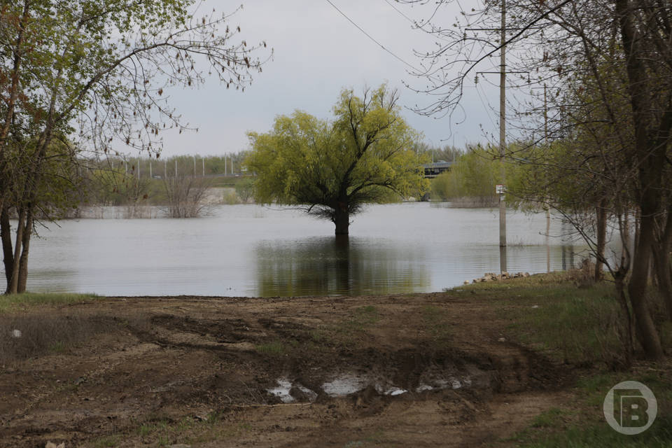 В Волгоградской области экологи расчистили три водных объекта Волго-Ахтубинской поймы