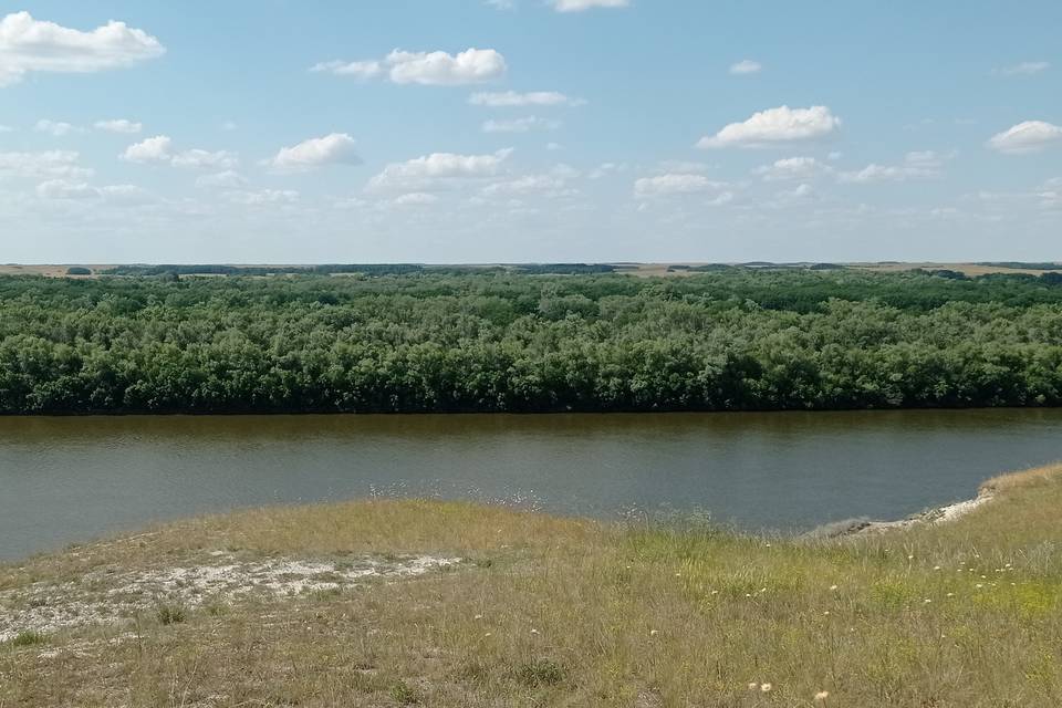 В Волгограде ищут проектировщиков для будущей расчистки реки Иловли