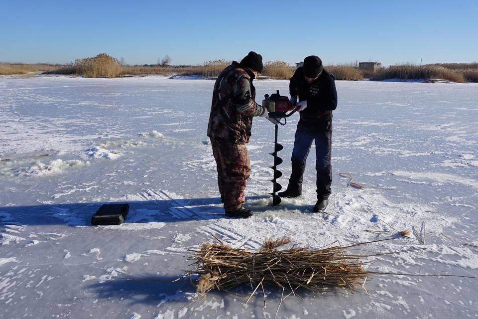 Рыбу от замора спасают в озерах Волгоградской области