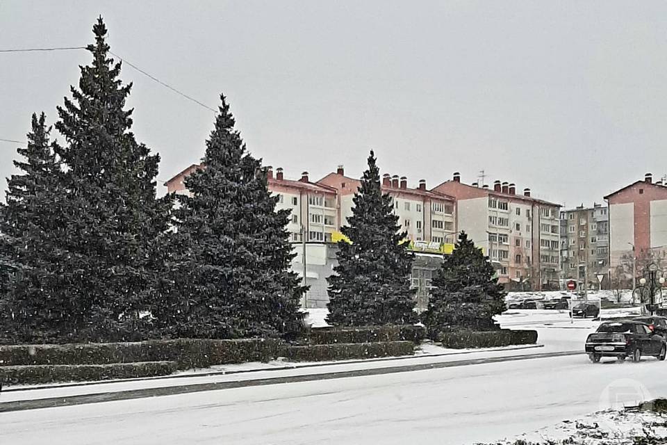Бесплатный проезд введут в Камышине Волгоградской области в честь 2 февраля