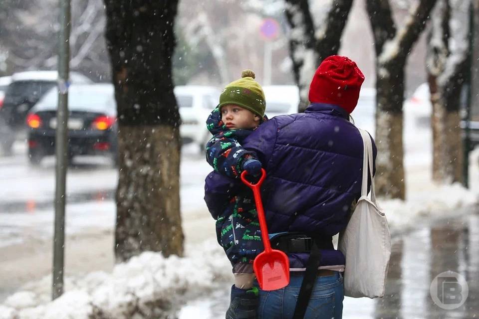 29 января в Волгоградской области потеплеет до +5 градусов