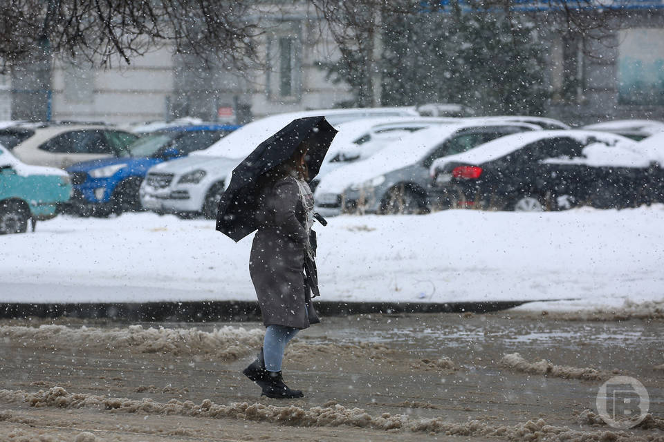1 февраля волгоградцев ждет мокрый снег и +1º