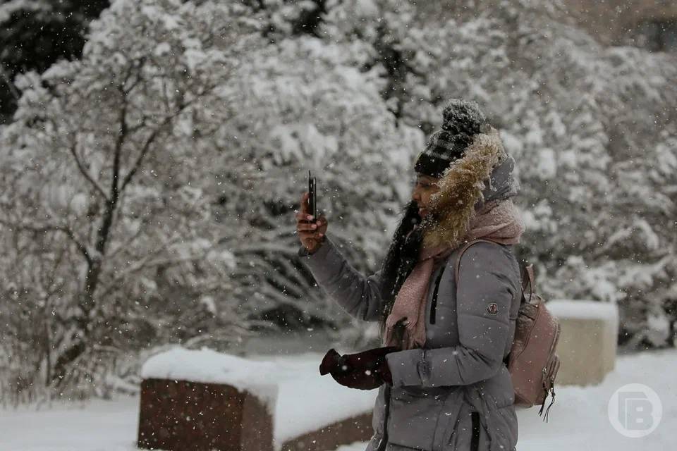 Снег и заморозки до -10º ожидаются в Волгоградской области 2 февраля