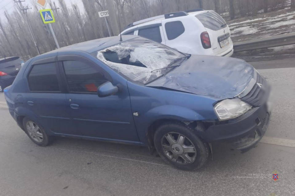 В Волгоградской области под колесами машины погиб пенсионер