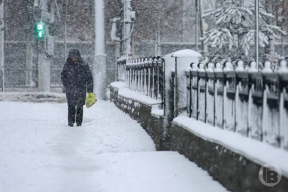 Заморозки до -10 градусов и метель охватят Волгоградскую область