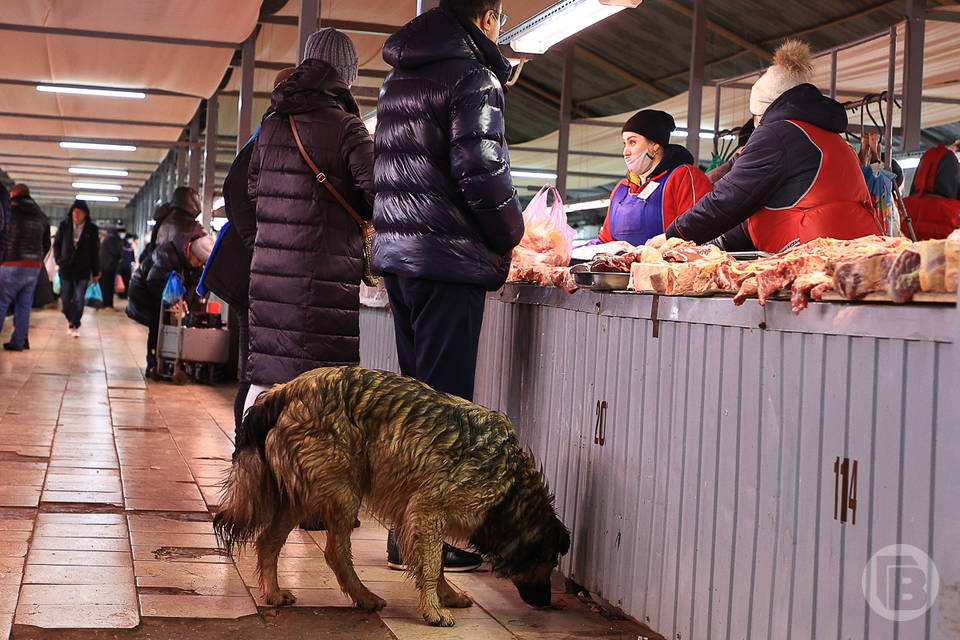 На рынках Волгограда в мясе искали ГМО, антибиотики и радиацию