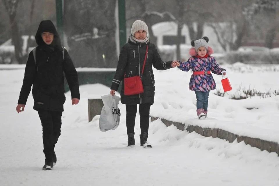 17 февраля в Волгоградской области снова выпадет снег