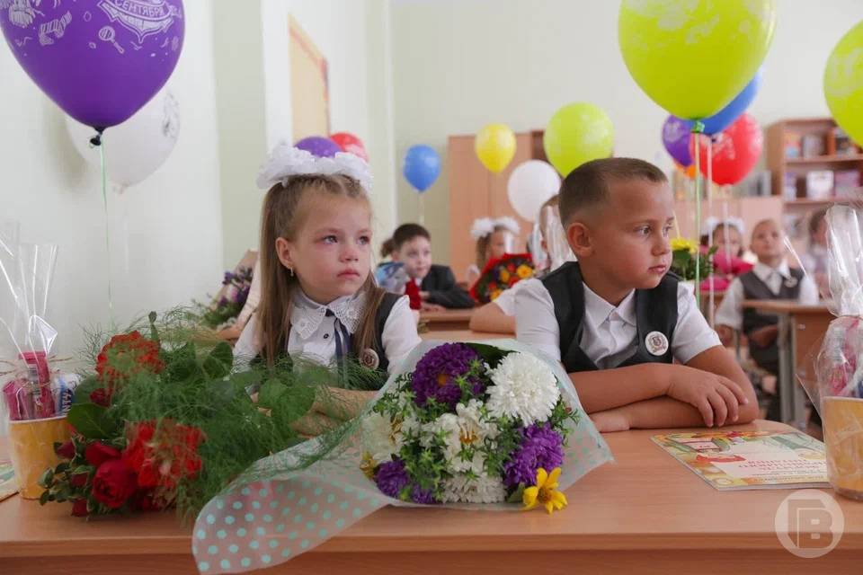Эксперты выяснили, как дети относятся к школам в Волгограде