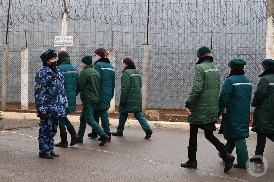 Красный Крест усилит оказание помощи заключенным в Волгоградской области