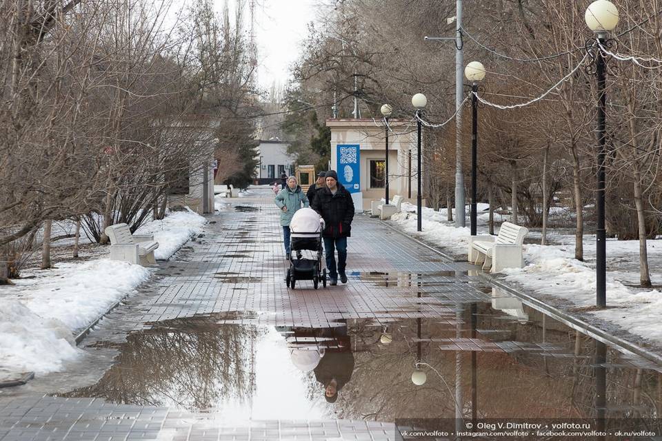 Волгоград застыл в ожидании весны и теплой погоды: фотоподборка