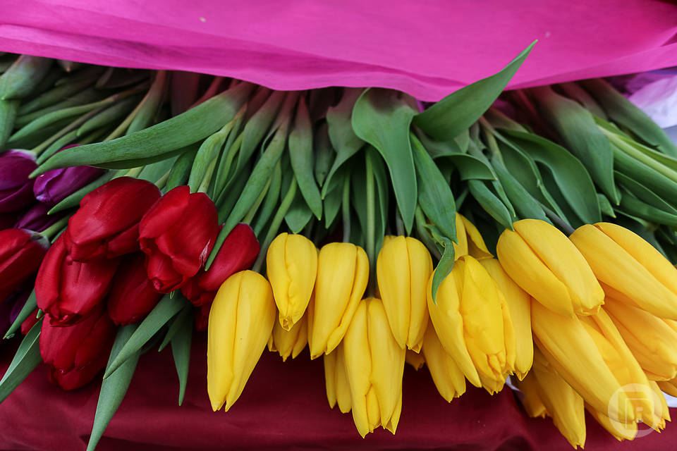 Свыше 100 точек торговли цветами откроются к 8 Марта в Волгограде