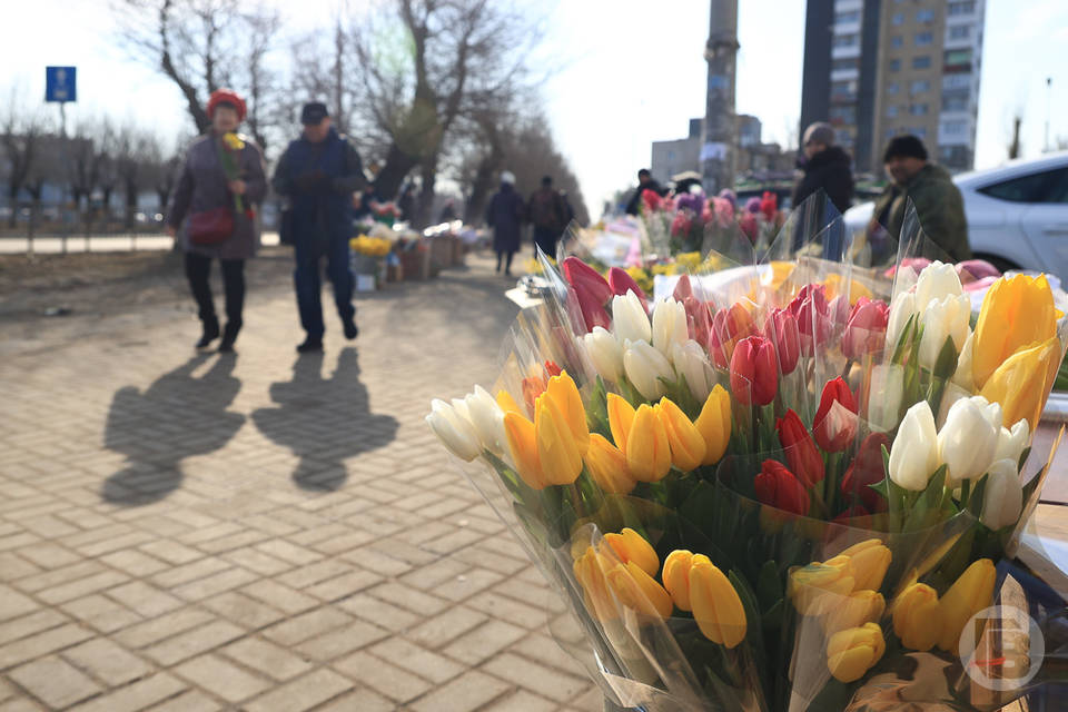 В Волгоградской области 8 марта ожидается теплая погода