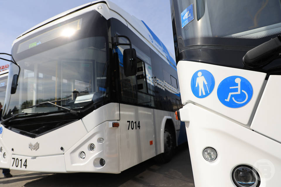 54 современных троллейбуса поступит в Волгоград в 2023 году