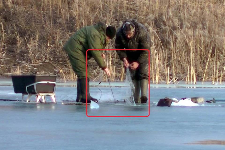 Запрет на ловлю в волгоградской области. Рыбак фото. Рыбак ловит рыбу. Ловля сетями.