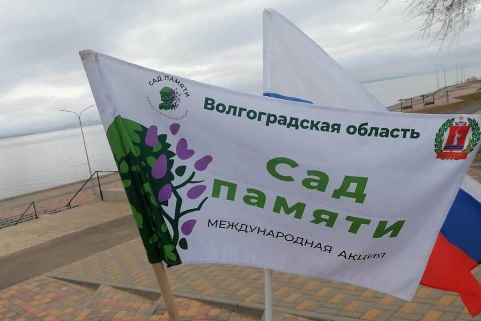 В Волгоградской области высадят более 900 тысяч деревьев в честь героев Великой Отечественной войны