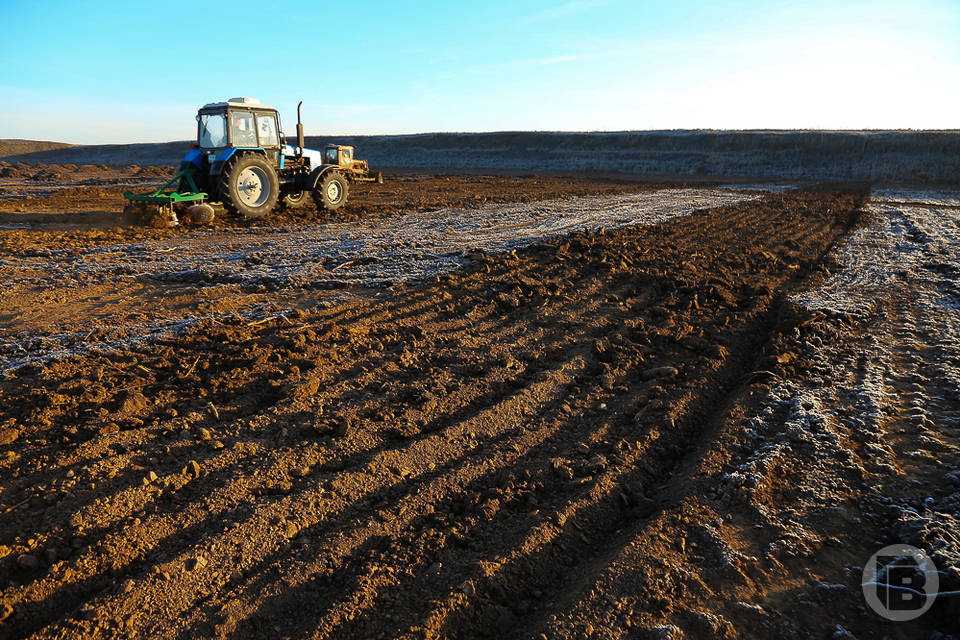 В южных районах Волгоградской области аграрии приступают к полевым работам