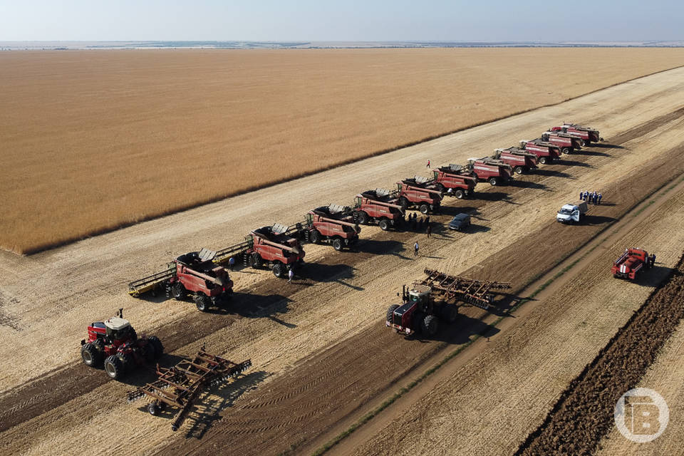 Волгоградская область впервые за всю историю получила рекордный урожай зерна - 7,2 млн тонн