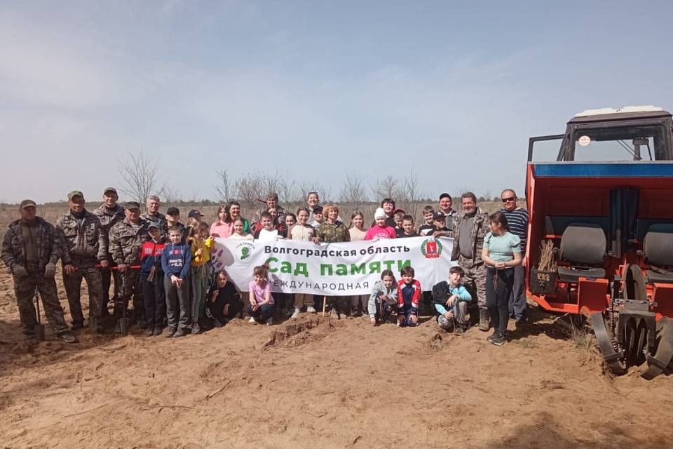В Волгоградской области в рамках акции "Сад Памяти" высадят 900 тысяч деревьев