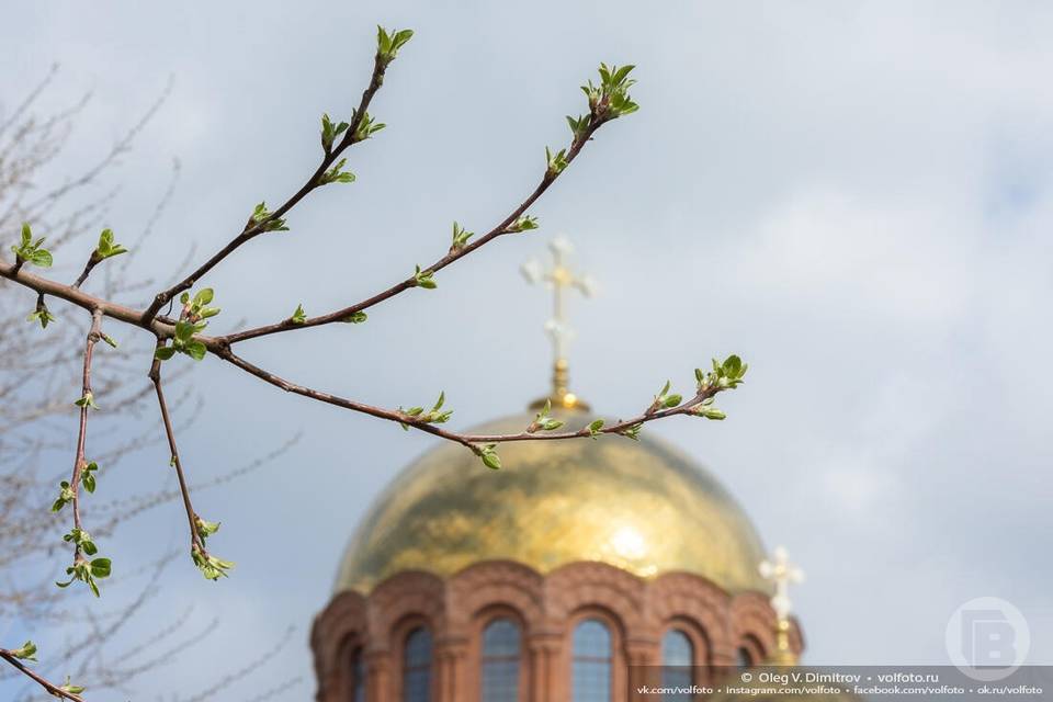 Волгоградцам рассказали, как следует отметить Благовещение