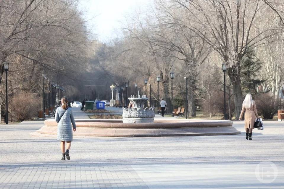 МЧС предупредило о заморозках в Волгоградской области