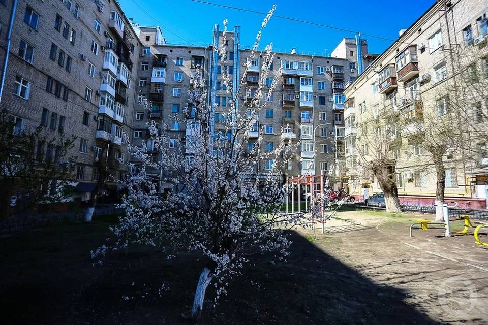 В Волгоградской области УК обязали провести весенние осмотры домов