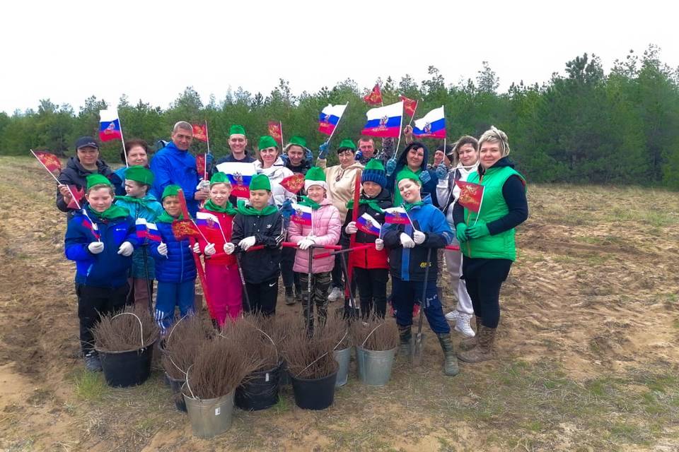 Железнодорожники высадили более 1,5 тыс. деревьев в Волгоградской области
