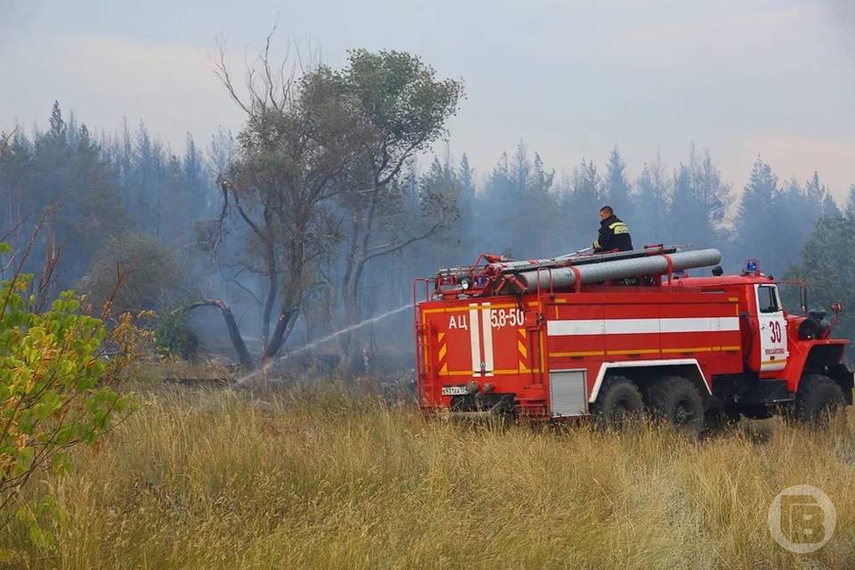 В Волгоградской области ввели желтый уровень пожароопасности