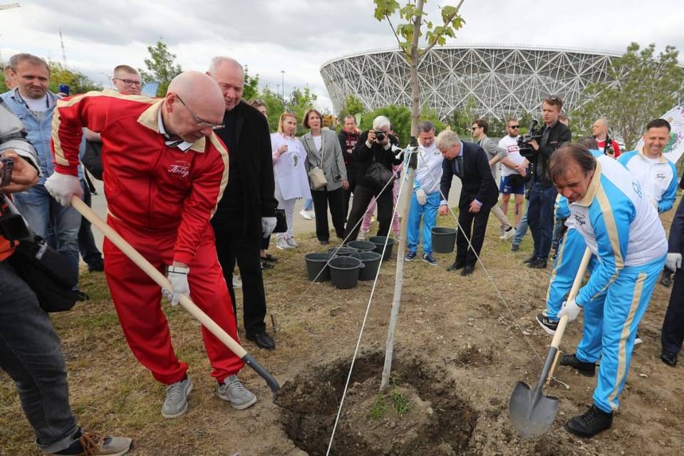 Участники ретроматча посадили деревья в волгоградском ЦПКиО