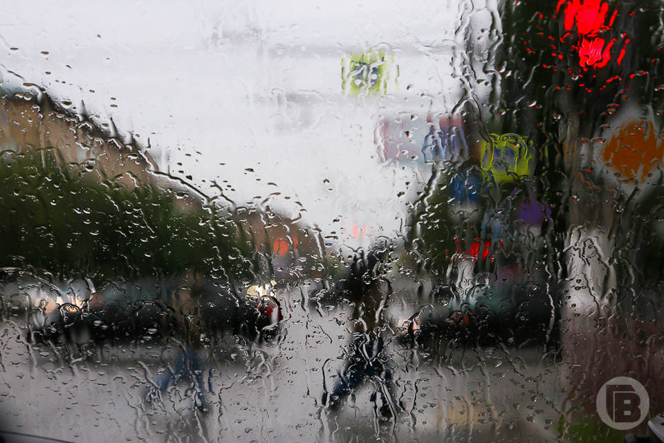 Рабочая неделя в Волгоградской области начнется с дождей и похолодания