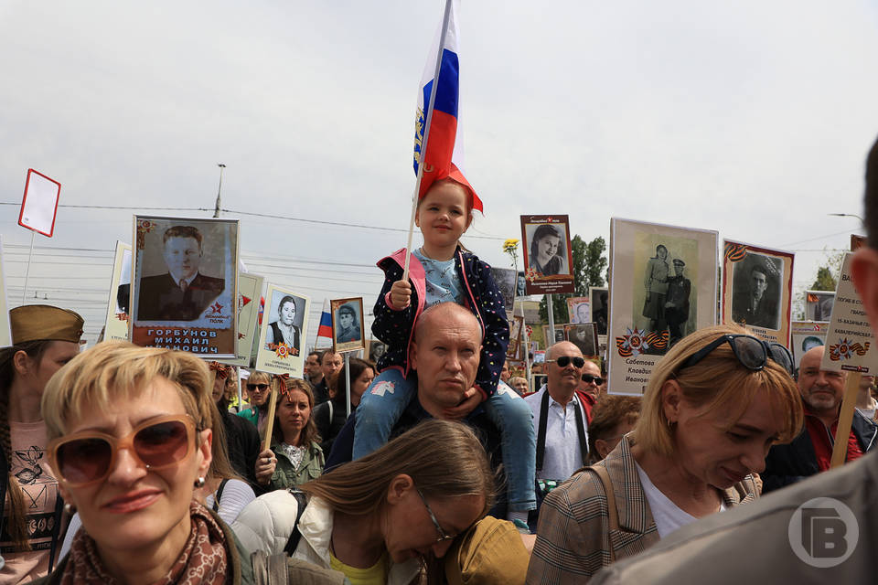 В Волгограде пройдет пресс-конференция по проведению акции «Бессмертный полк» в регионе