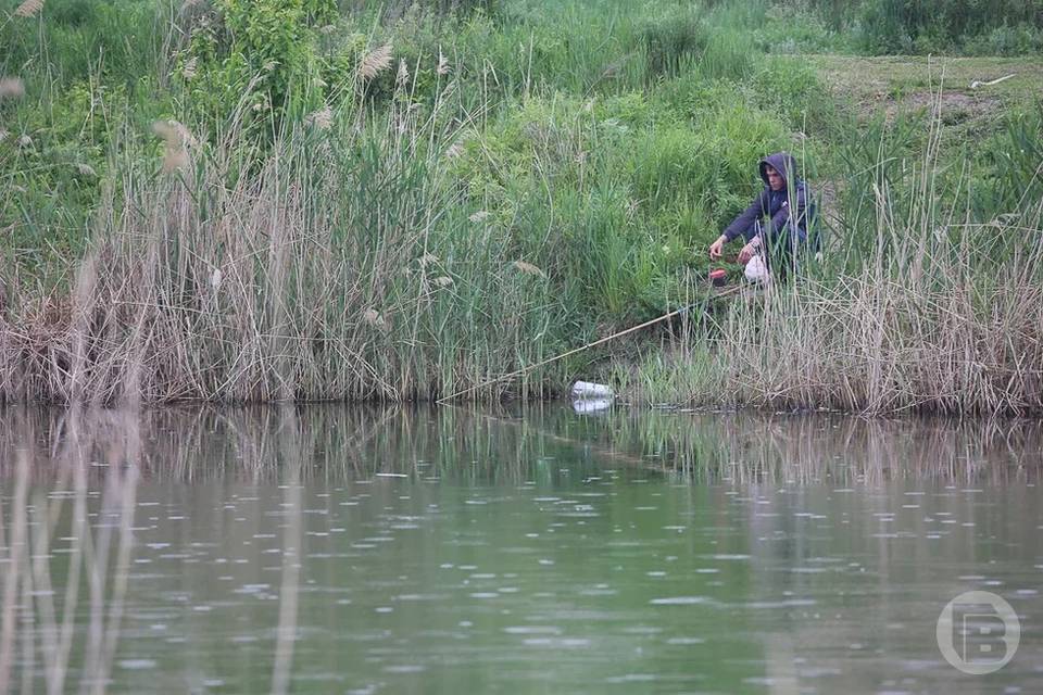 Под Волгоградом в реке обнаружили скелет человека в одежде