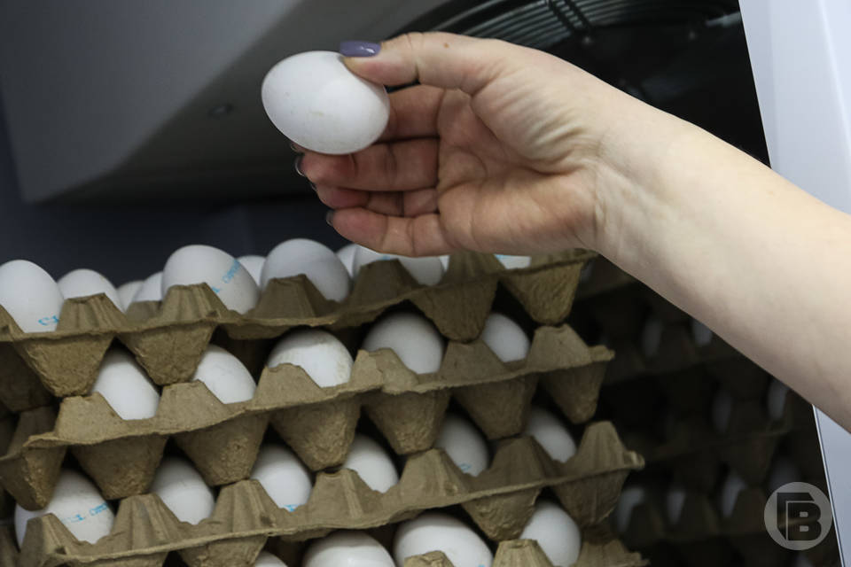 Куриные яйца с истекшим сроком годности продают под Волгоградом