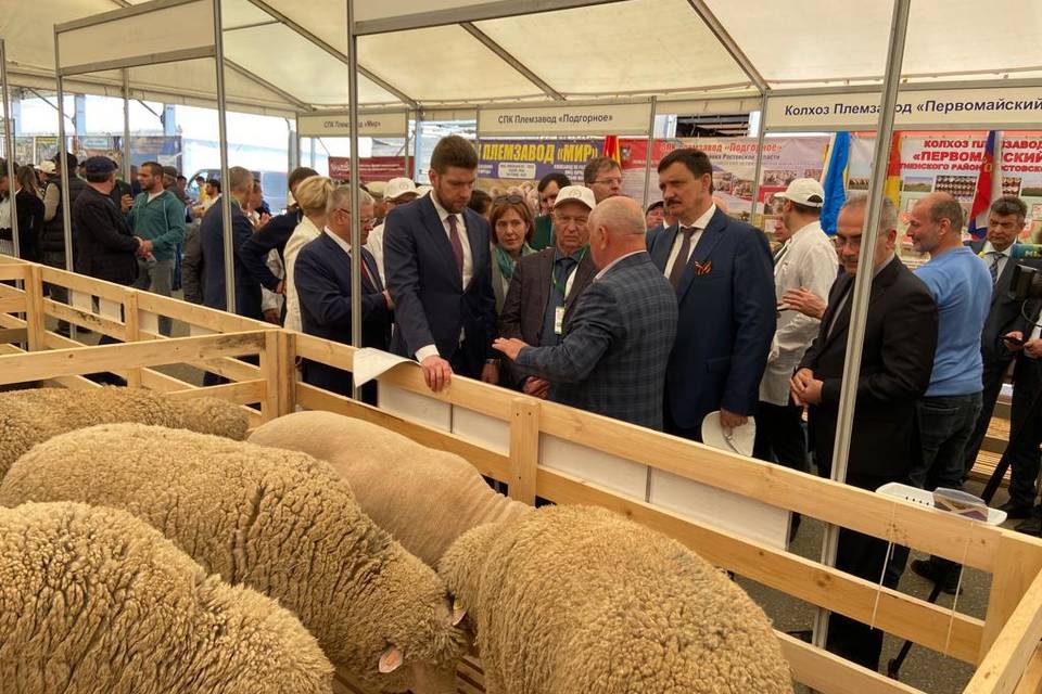 Волгоградские животноводы показали свои достижения на всероссийской выставке в Дагестане