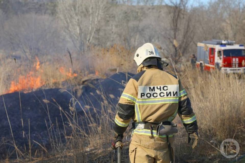 Чрезвычайная пожароопасность объявлена в Волгоградской области 19 и 20 мая