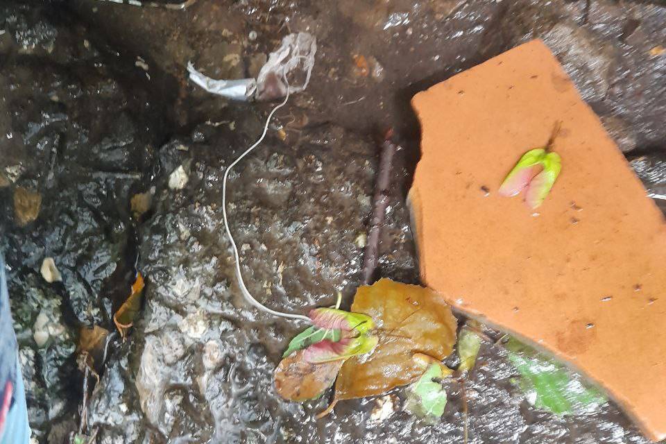 Гигантского белого червя обнаружили дачники в роднике под Волгоградом