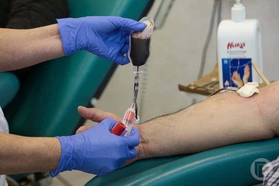 В Волгоградской области за полгода заготовили более 9,6 тысячи литров крови