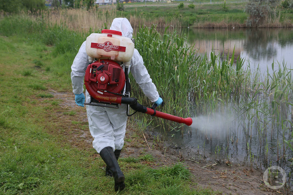 Врач-аллерголог рассказал об опасности комариных укусов