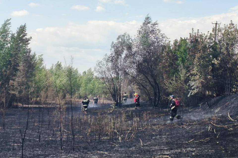 Под Волгоградом ликвидировали крупный пожар у детского лагеря