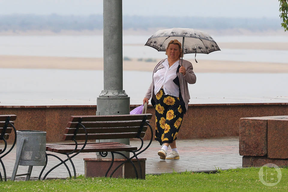 Какой будет погода 15 июля в Волгограде, сообщили синоптики