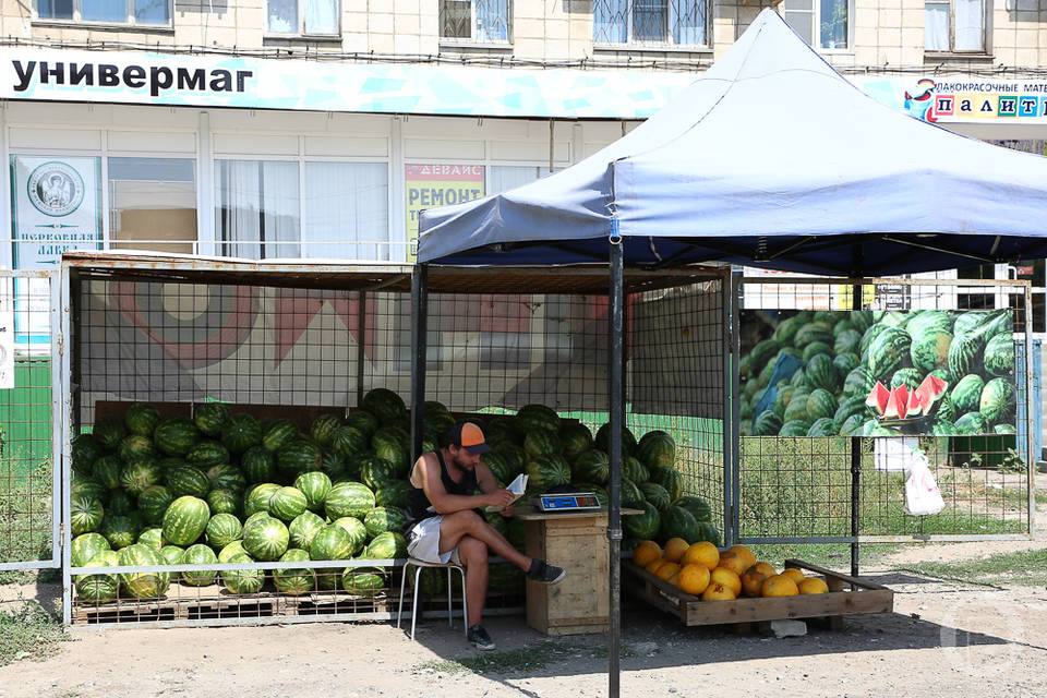 61 точка для торговли арбузами и дынями открывается в Волгограде