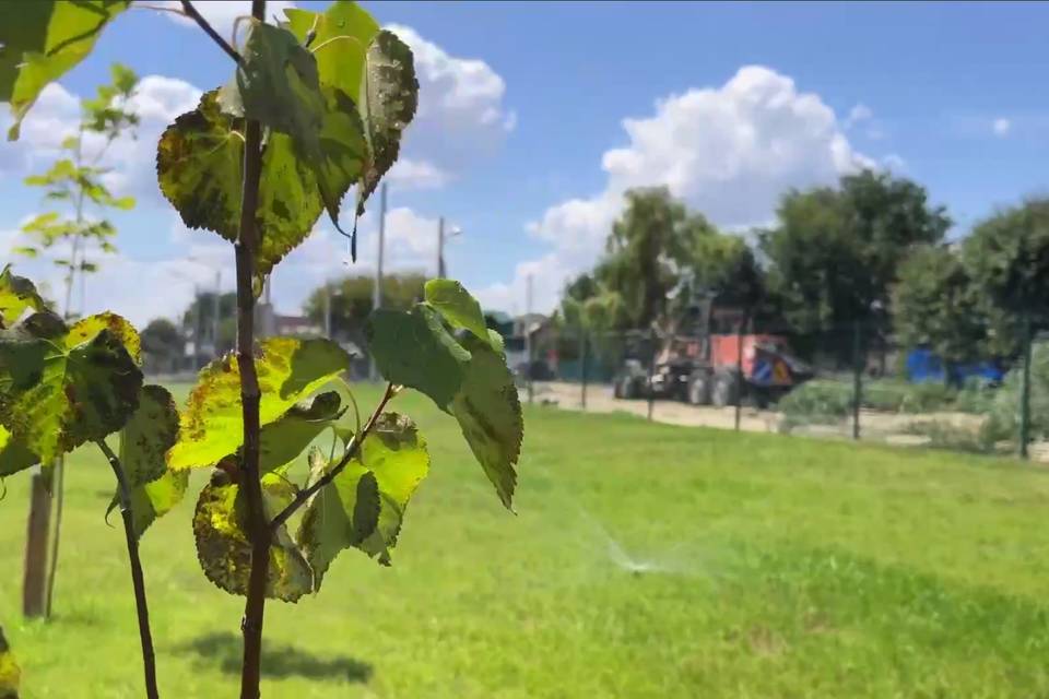 В Волгограде у новой школы на Кузнецкой оборудовали умную систему полива