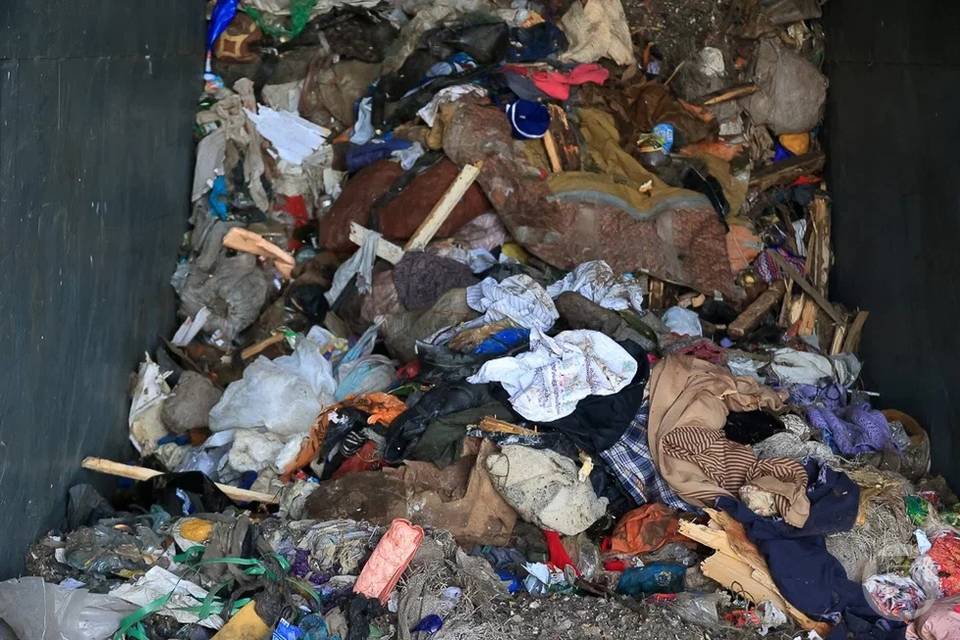 Облкомприроды проверяет площадки с мусором в Волгограде и области