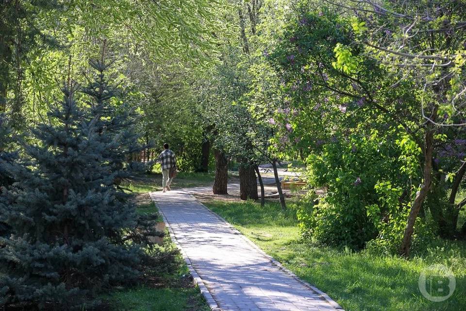 Современные парки обустроят в городах Волгоградской области